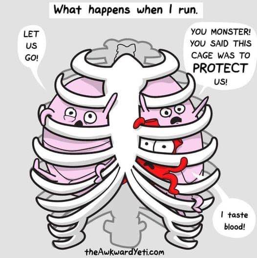 My lungs when I try to go for a jog after being sedentary for months
