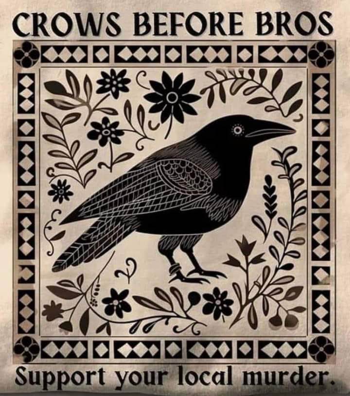 This is basically my life motto: crows before bros and supporting my local murder.