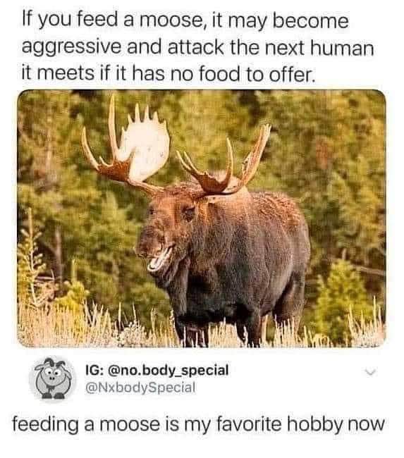 me choosing the most dangerous hobby possible after reading a warning