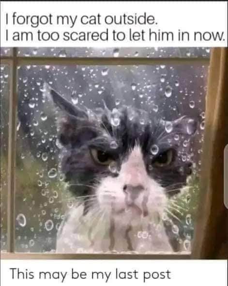 He's outside in the rain and I'm too scared to let him back in because he's a menace