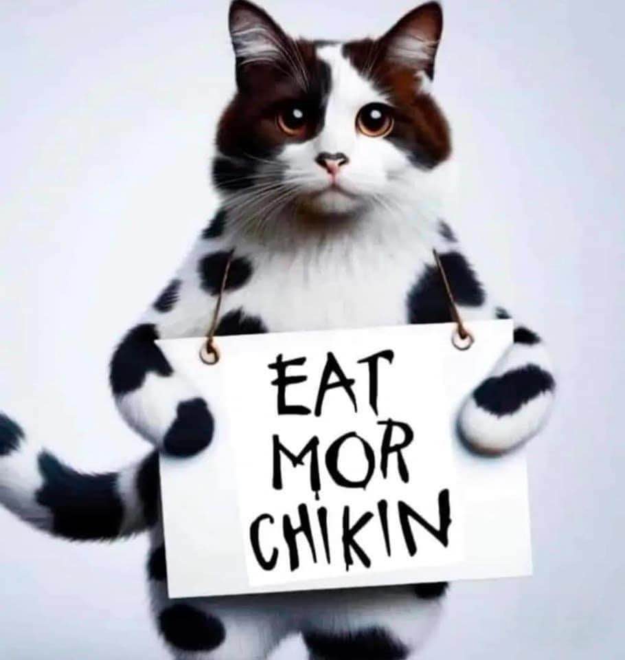 This cat is channeling its inner fast food enthusiast.