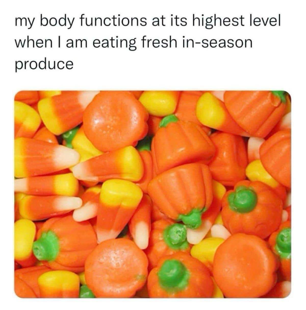 Oh yeah, nothing makes me feel healthier than a pile of candy corn and candy pumpkins