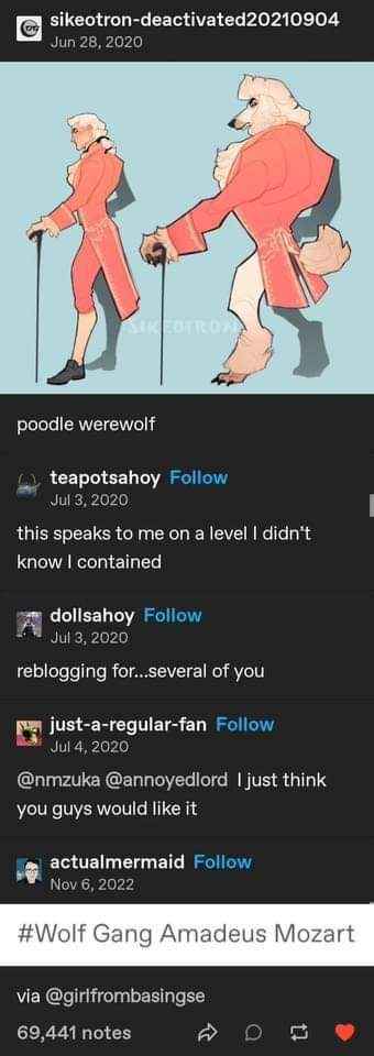 When you realize you're a poodle werewolf lol