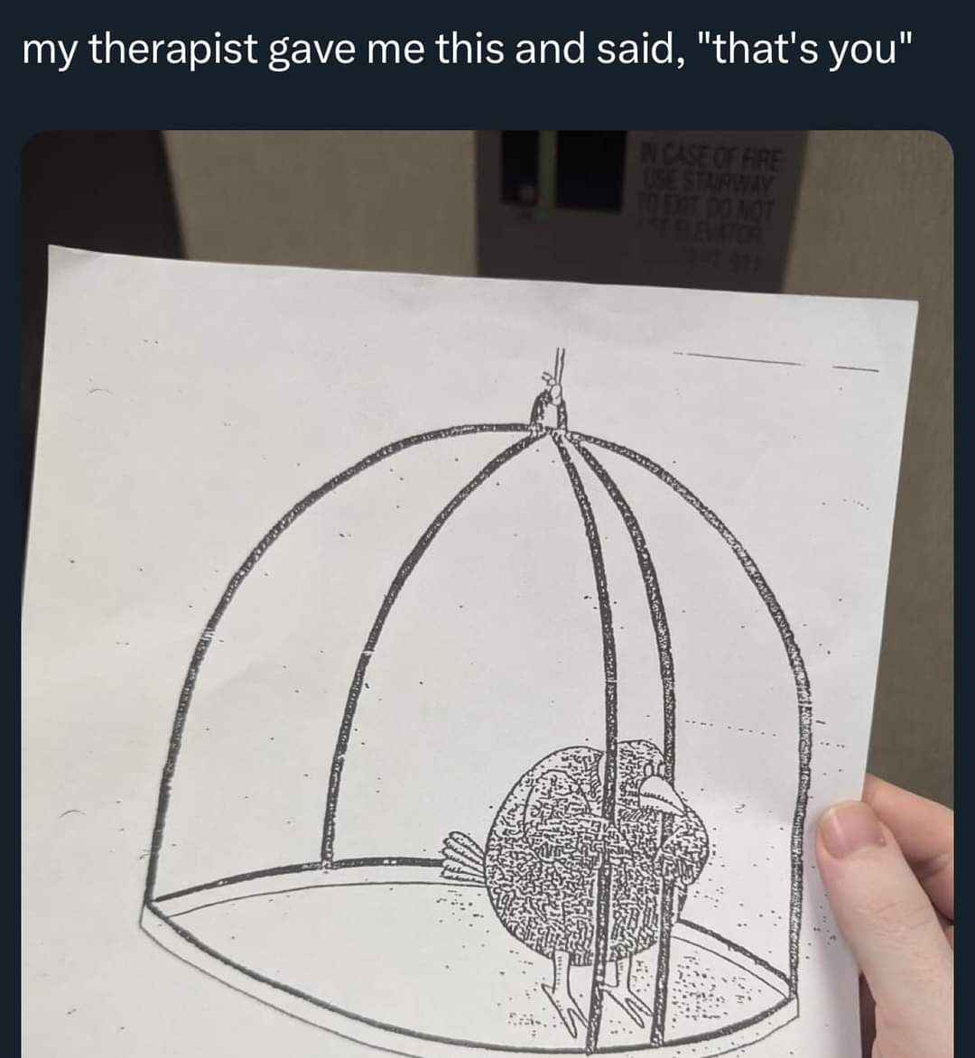 When your therapist gives you a drawing of a sad bird in a cage and says... 'that's you.'