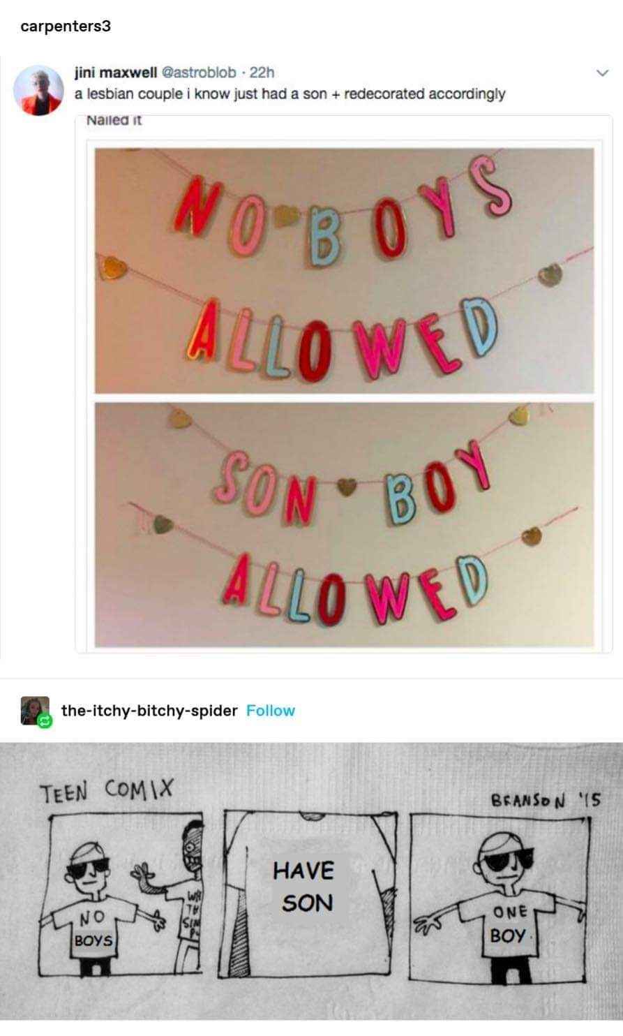 When you have a son but initially wanted your room to be a 'no boys allowed' zone. The struggle is real, but the decoration is on point.
