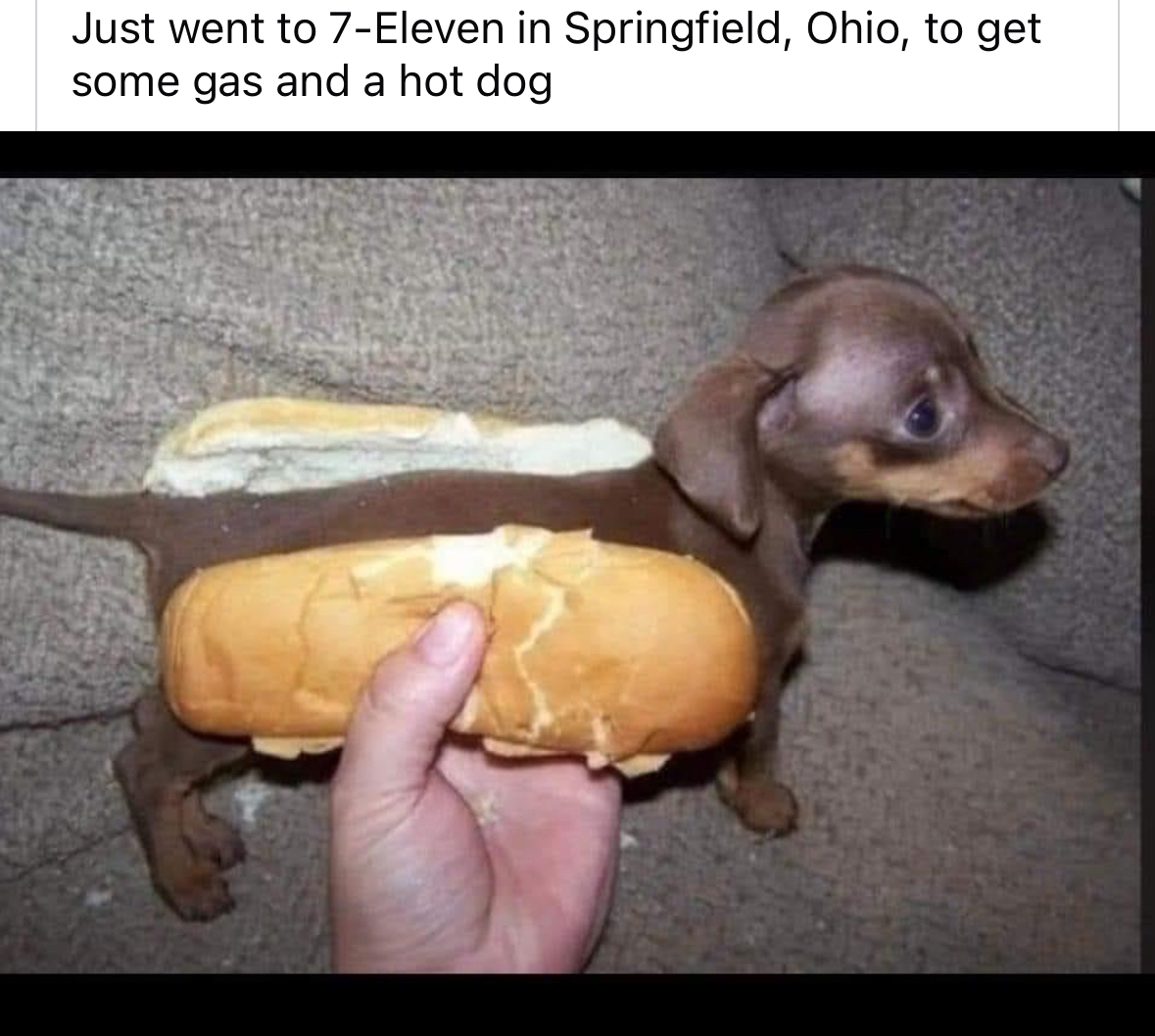 When you order a hot dog and they bring you the whole squad