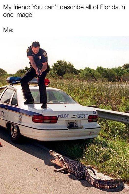 When you try to describe Florida by showing a police officer aiming a gun from atop a police car at an alligator.
