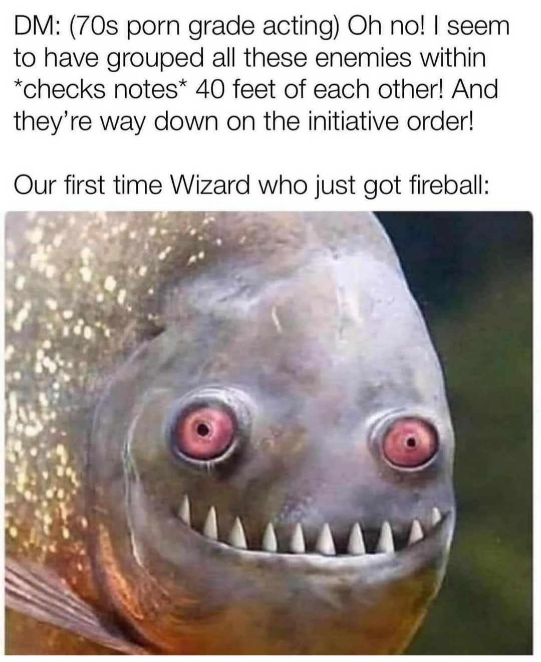 When the DM accidentally groups enemies and you get to unleash your first Fireball spell