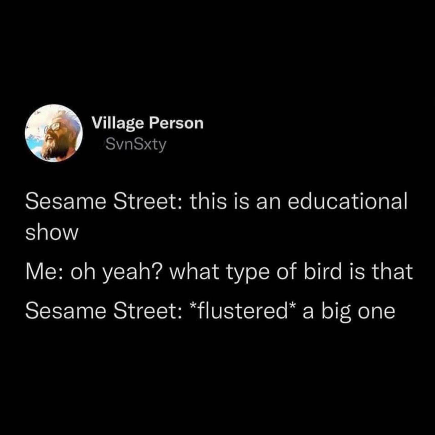 Sesame Street trying to explain birds and just ends up saying 'a big one'