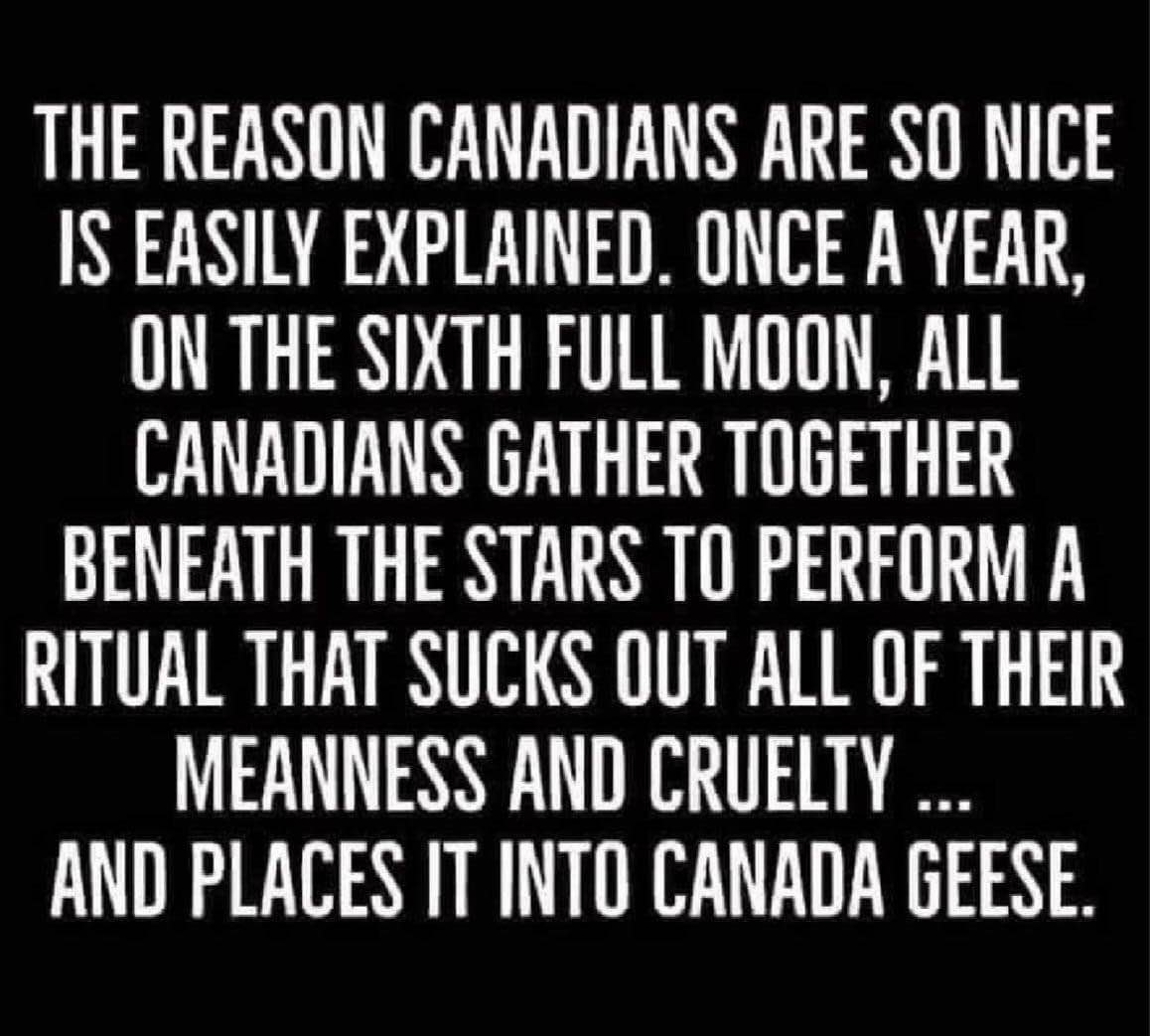 So that's why Canadian geese are so aggressive lol
