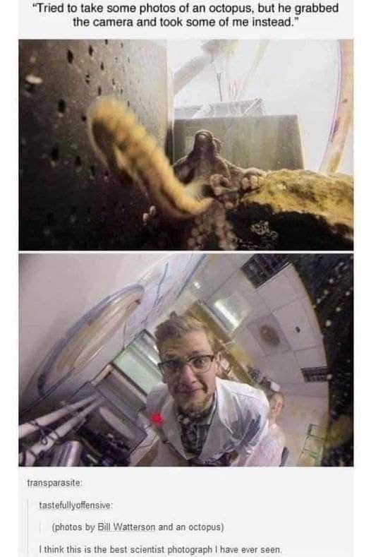 When the octopus decides to take its own selfie instead.