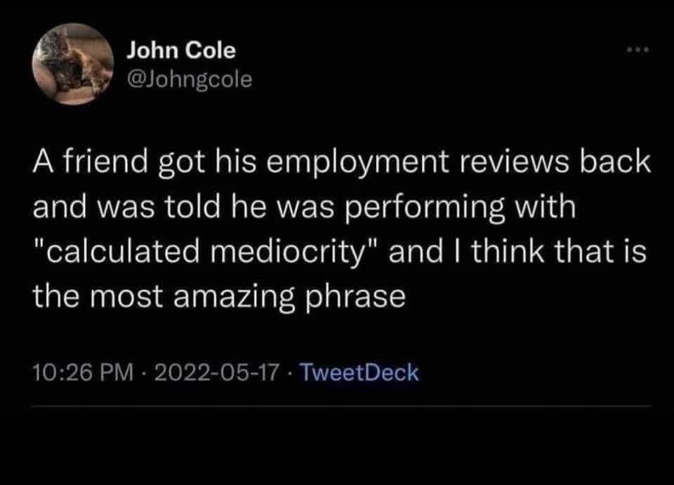 When your employment review is so hilariously bland they invent a new word for it