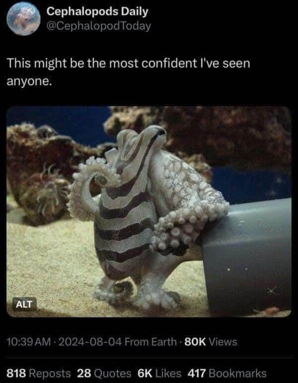This octopus is giving off major 'I own this tank' vibes