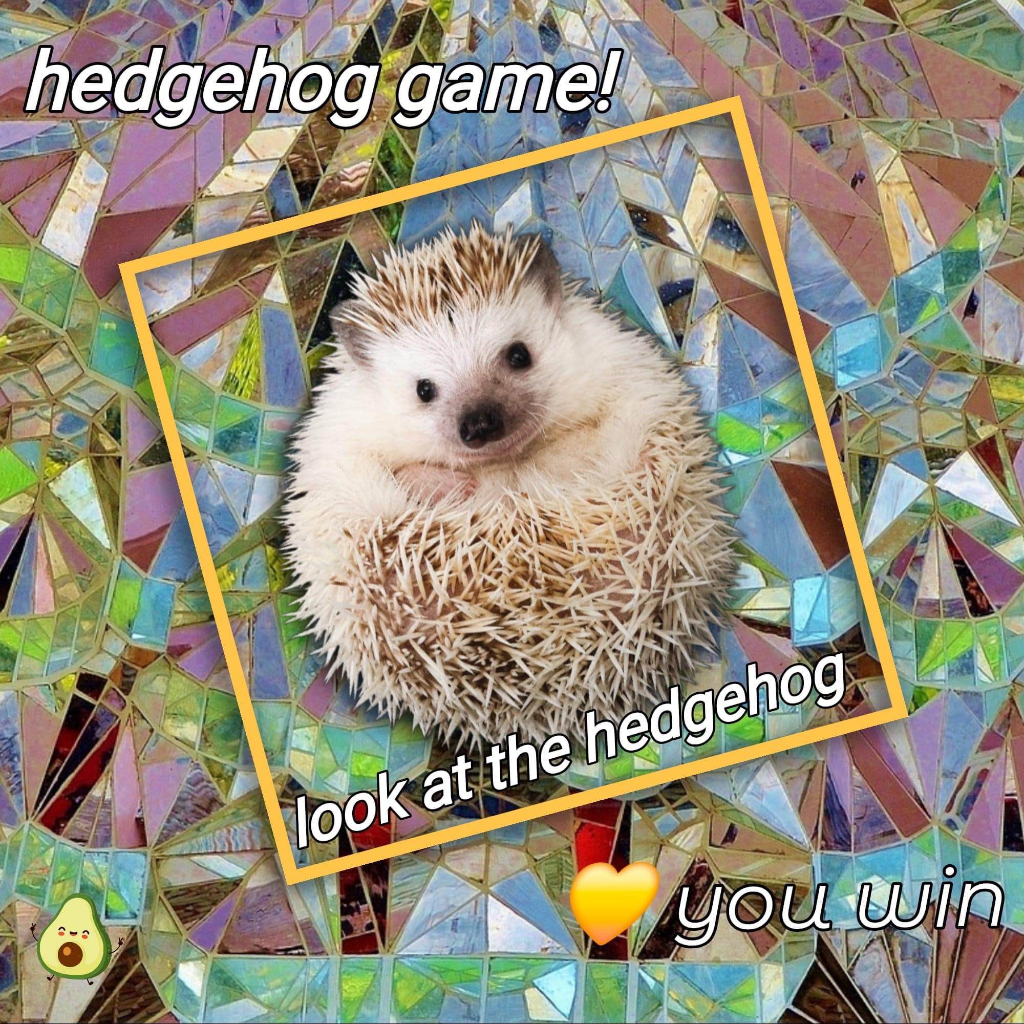 I won the hedgehog game! It was harder than it looked tbh