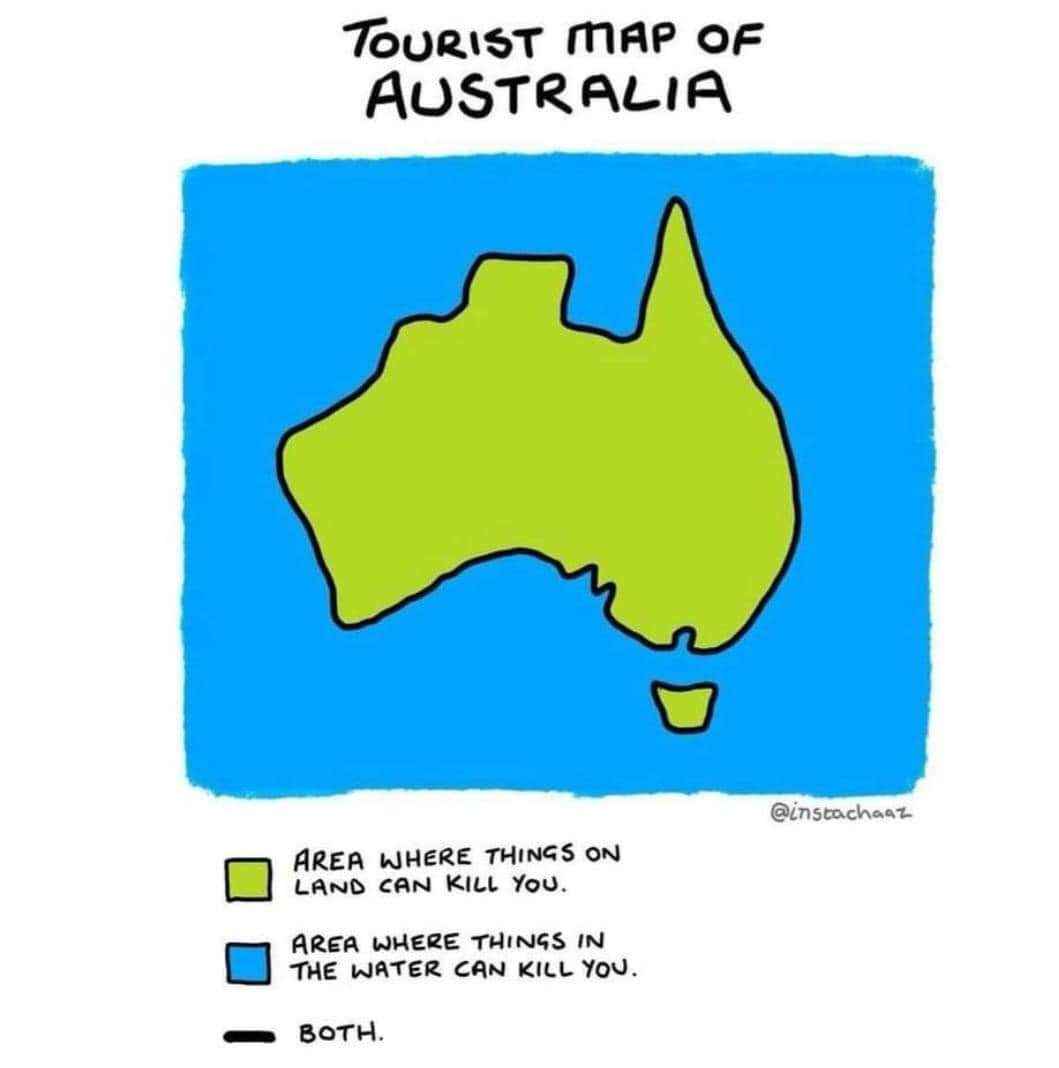 Australia: where everything from the land to the water wants to kill you.