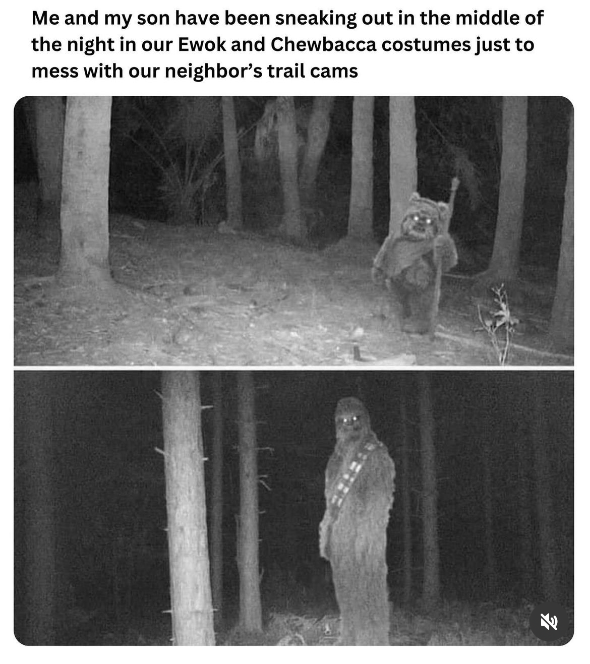 My neighbors are gonna think they live next to a weird Star Wars cult lol