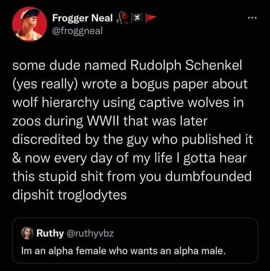 This person's take on wolf hierarchy, based on a bogus WWII study, has really activated the 'alpha female, alpha male' crowd.