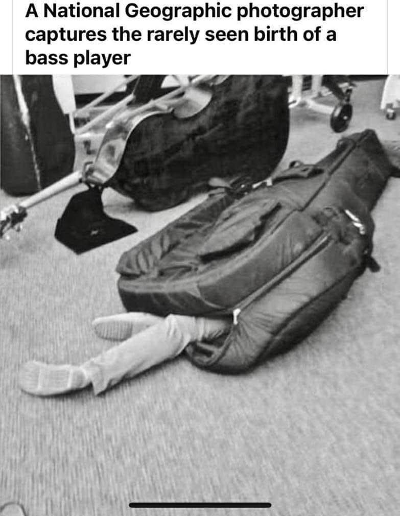 When you're trying to hide in your bass case before rehearsal even starts