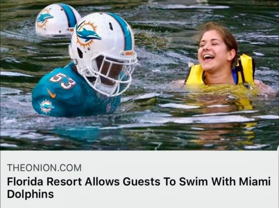 This is not what I meant when I said I wanted to swim with the Miami Dolphins.