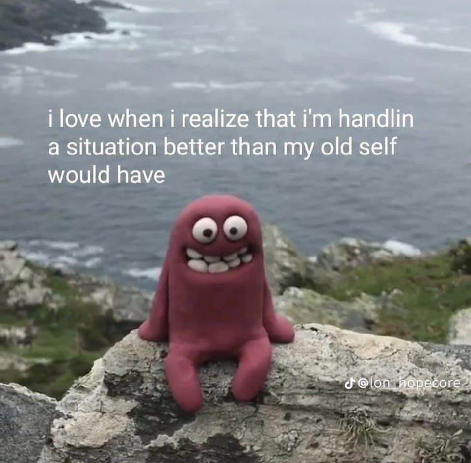 When you're adulting and realize you're not a complete disaster anymore