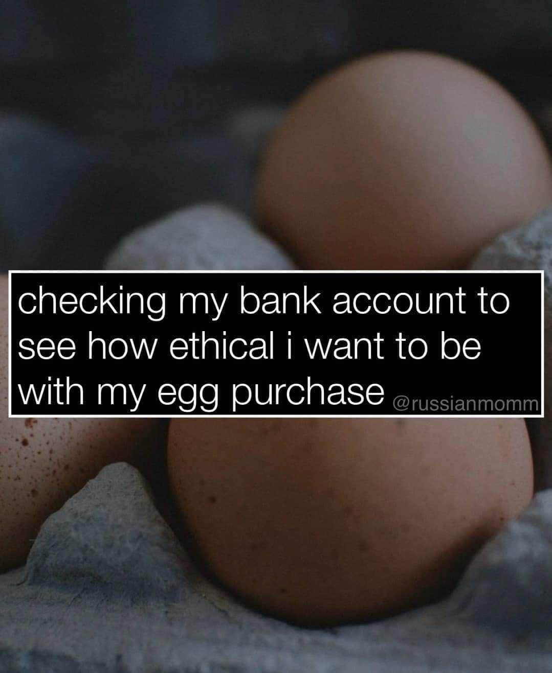 Me checking my bank account to see if I can afford to buy ethical eggs lol