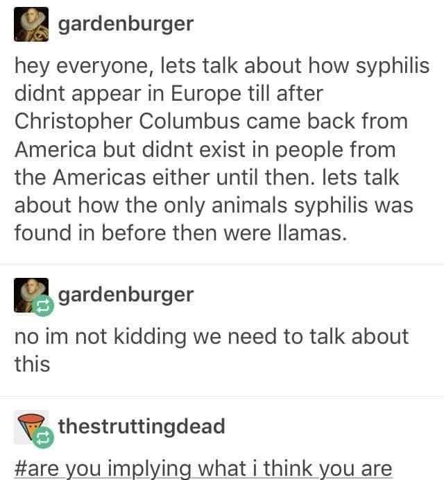 Someone's questioning Christopher Columbus's historical interactions with llamas and syphilis, and honestly, same.