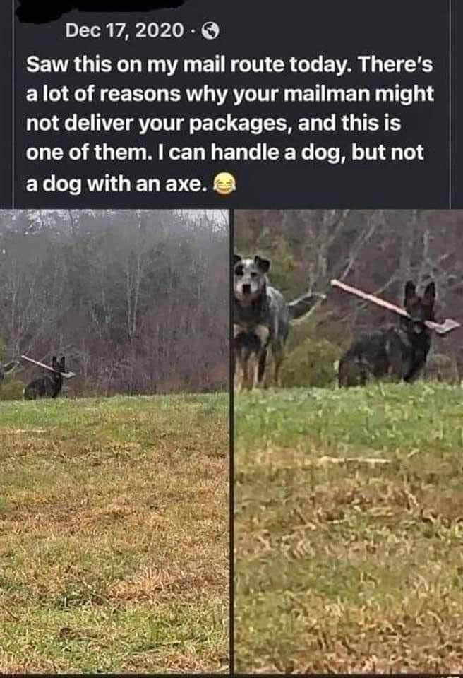 Yeah, nope. Package delivery is officially canceled when the dog has an axe.