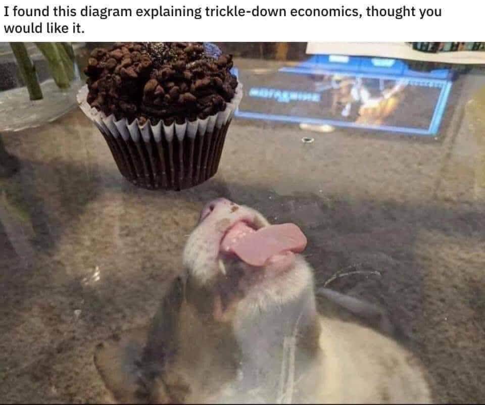 Me presented with a complex economic theory or a delicious cupcake. Choose wisely.