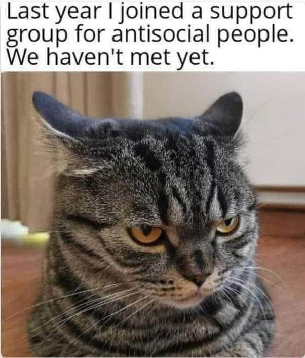 This is literally me joining a group for introverts and still not interacting with anyone.