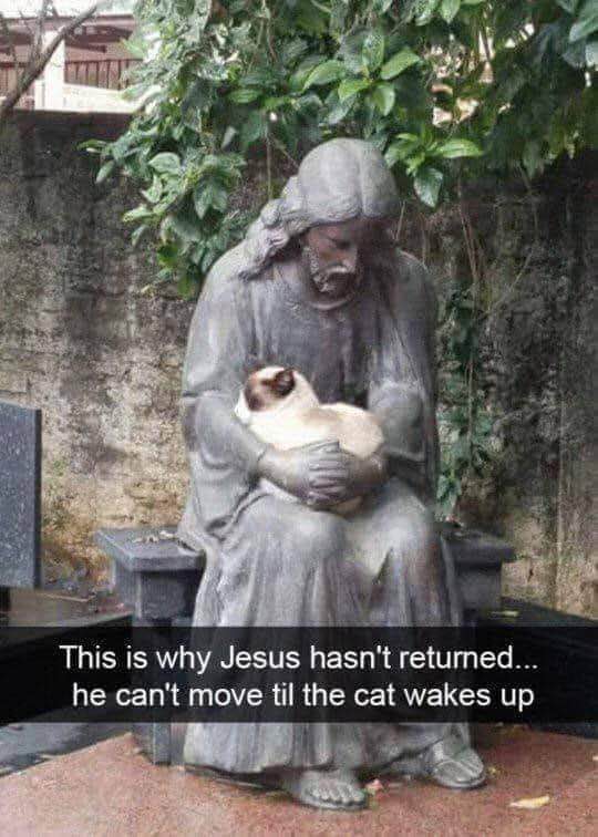 Jesus is holding a cat so he cant come back to earth yet lol