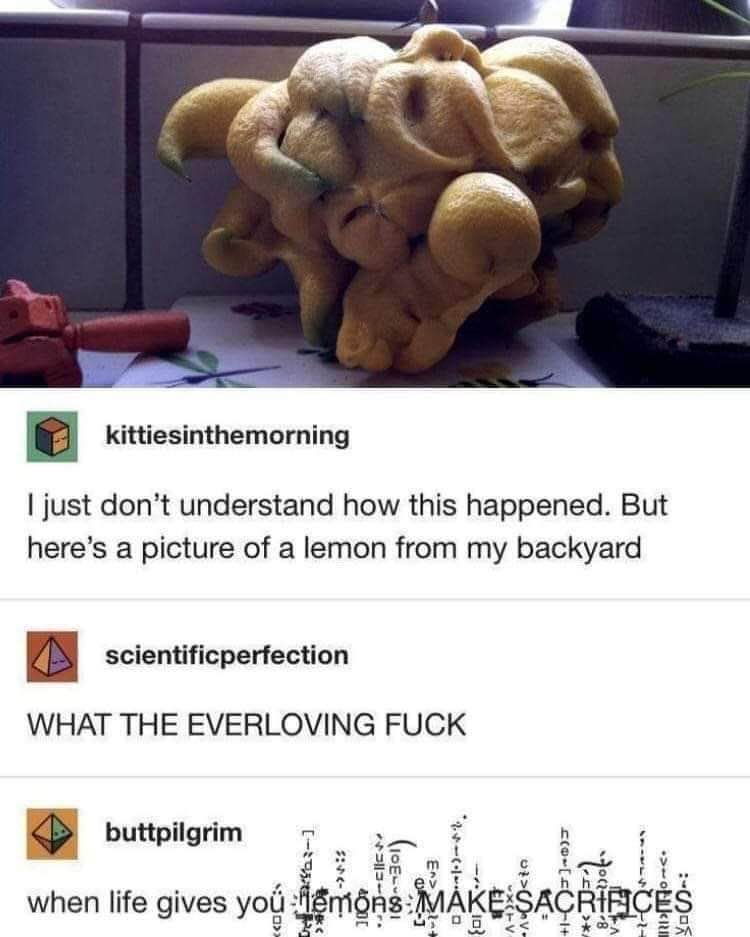 When life gives you lemons, you make sacrifices, apparently.