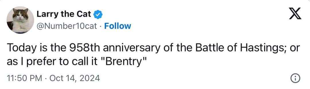This cat has some strong opinions on historical anniversaries.