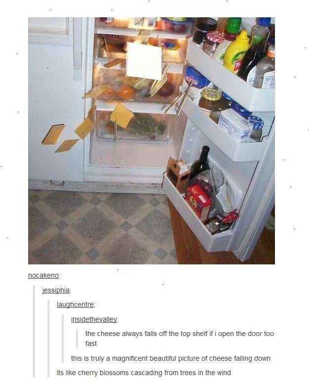 When you forget to close the fridge door properly and the cheese makes a break for it.