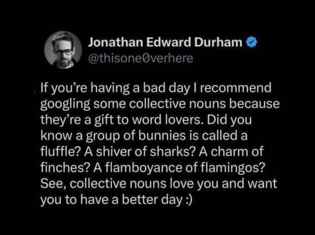 This guy is trying to cheer me up with collective nouns for animals, saying they 'want' me to have a good day. Like a 'fluffle' of bunnies?