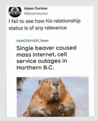 lol apparently being single is that powerful