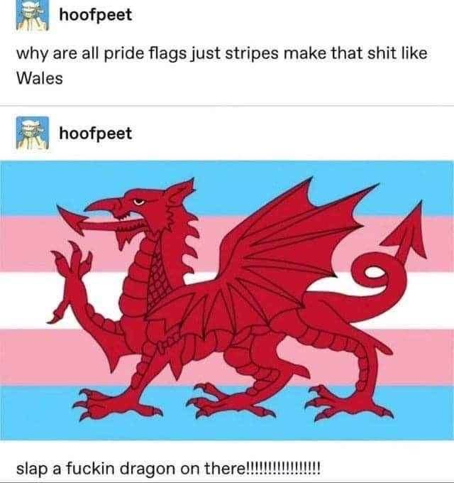 Someone complaining that pride flags are too simple, then suggesting they slap a dragon on the transgender flag. Iconic.