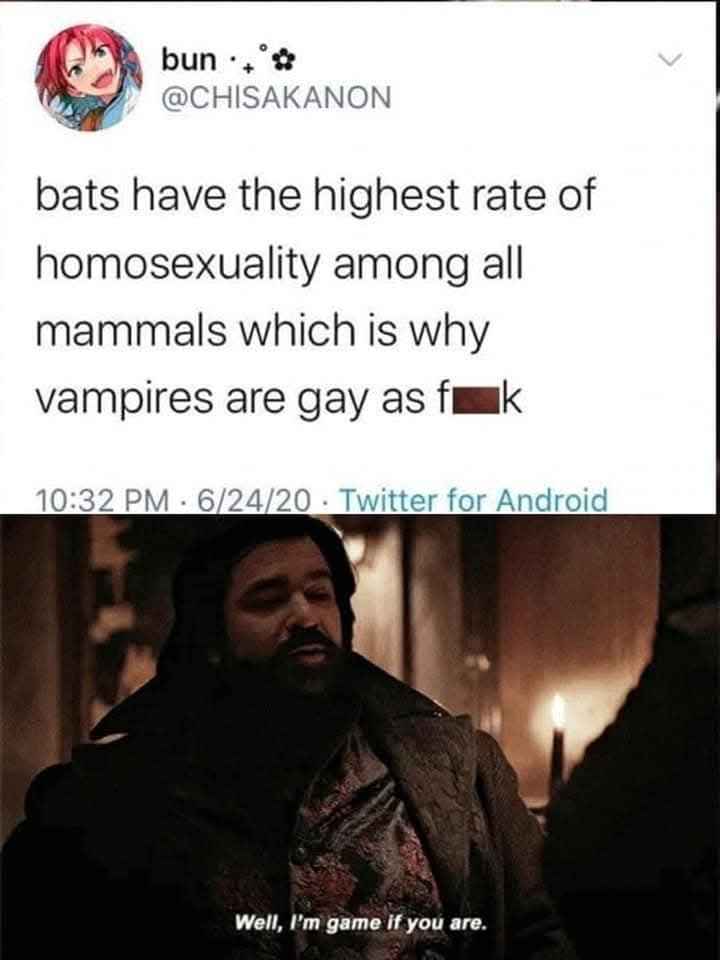 When you realize vampires might just be gay bats