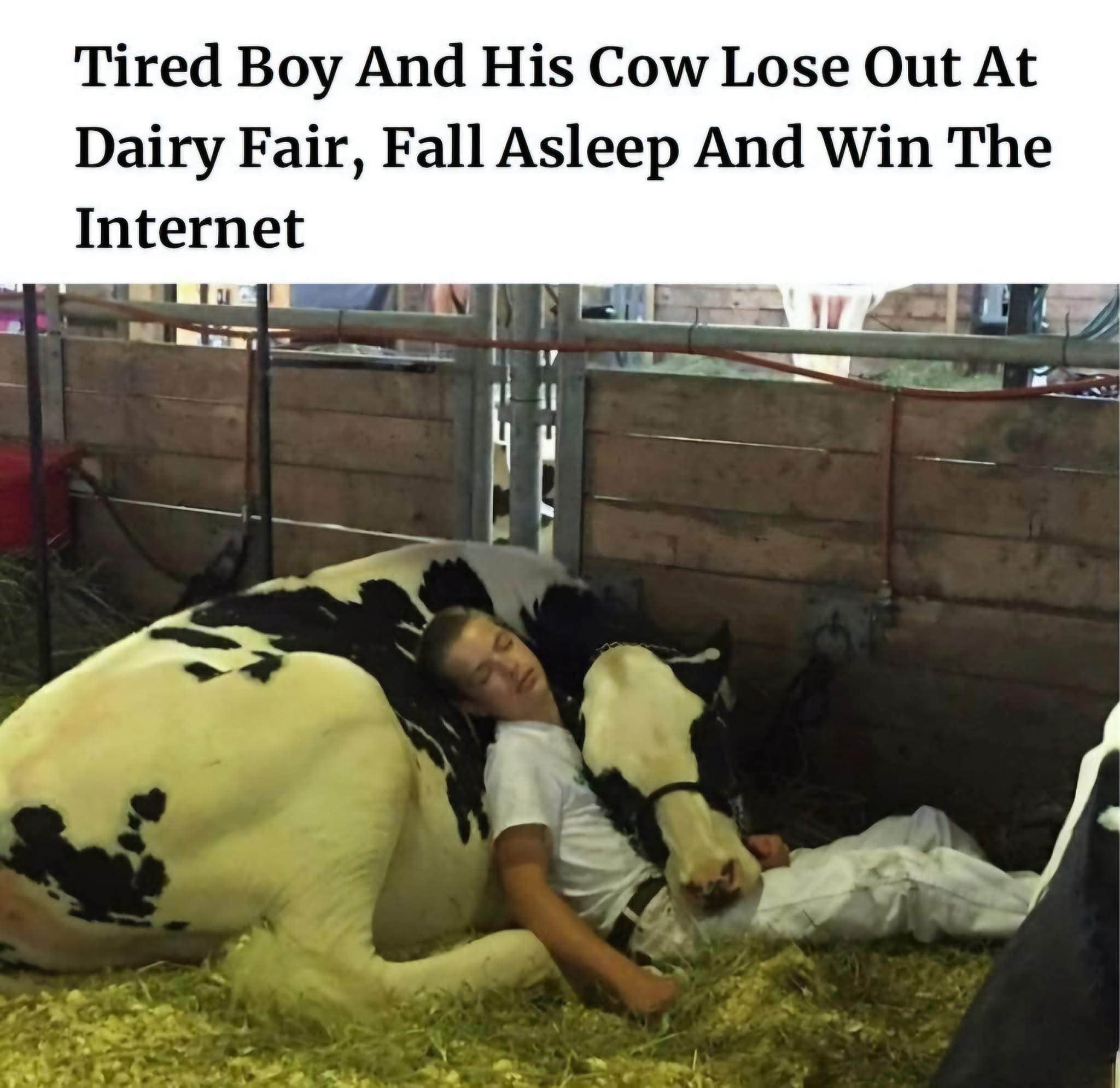 Me and my pet after a long day thinking about all the things I could have done better