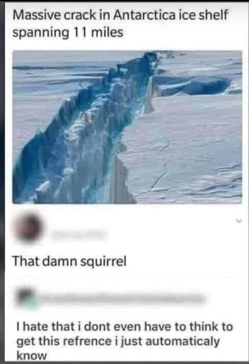 When the ice shelf cracks and you immediately think of a squirrel