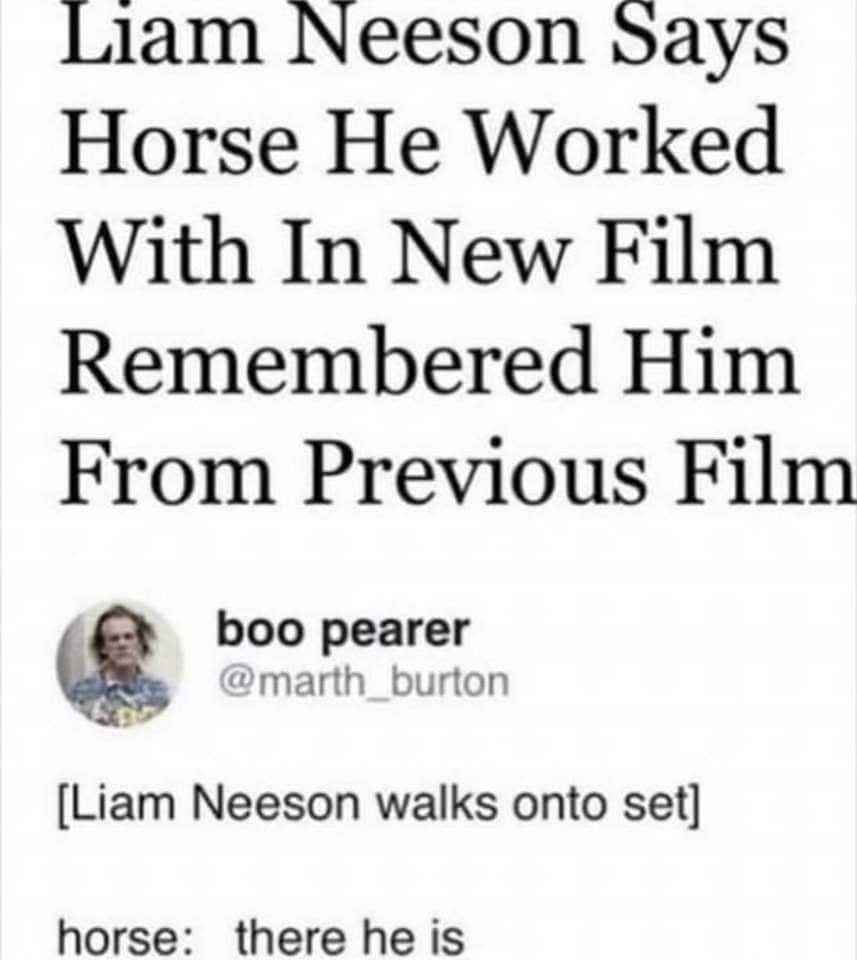 When the horse you worked with on a previous film recognizes you on a new set