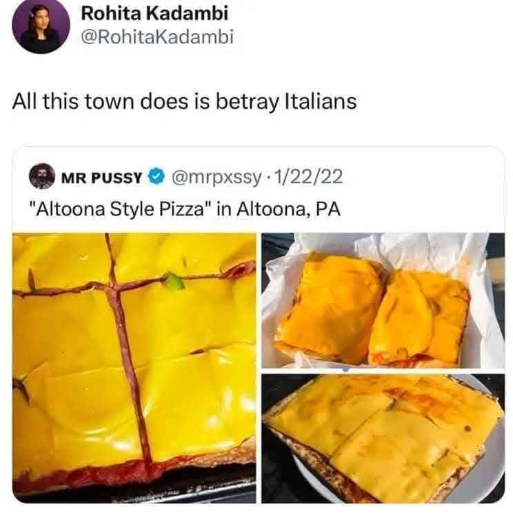 Is this what they call pizza? It looks like someone just melted cheese slices on bread.