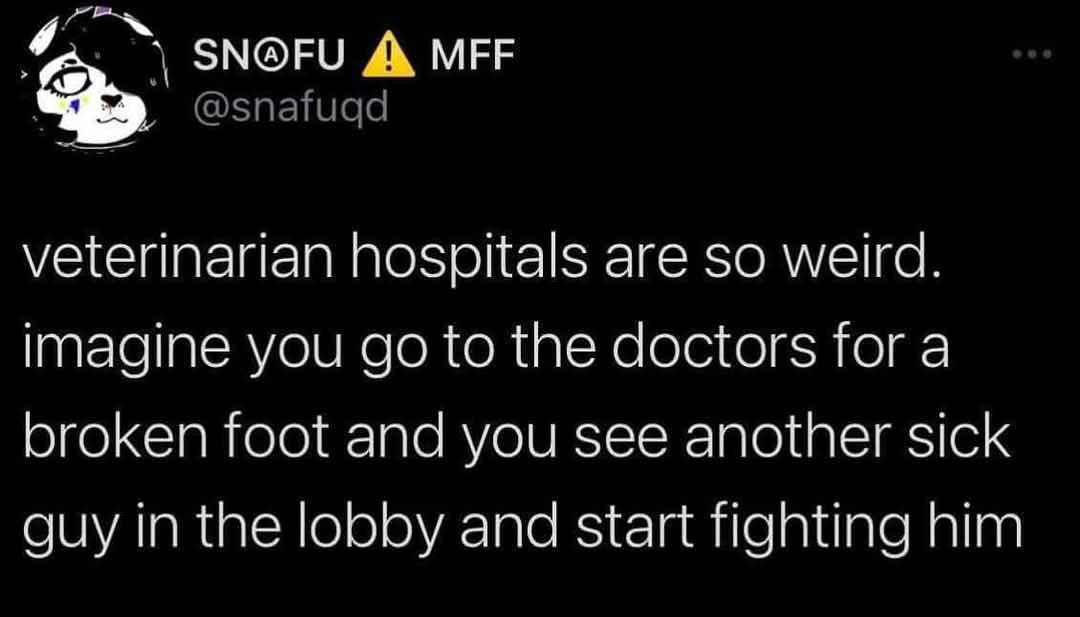 Lol imagine going to the animal doctor and getting into a fight with another sick animal