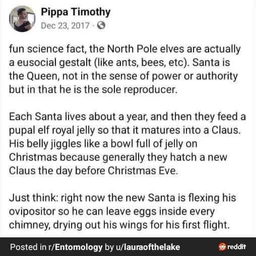 What the actual heck. Apparently Santa is a queen bee and elves mature into Claus after eating royal jelly.