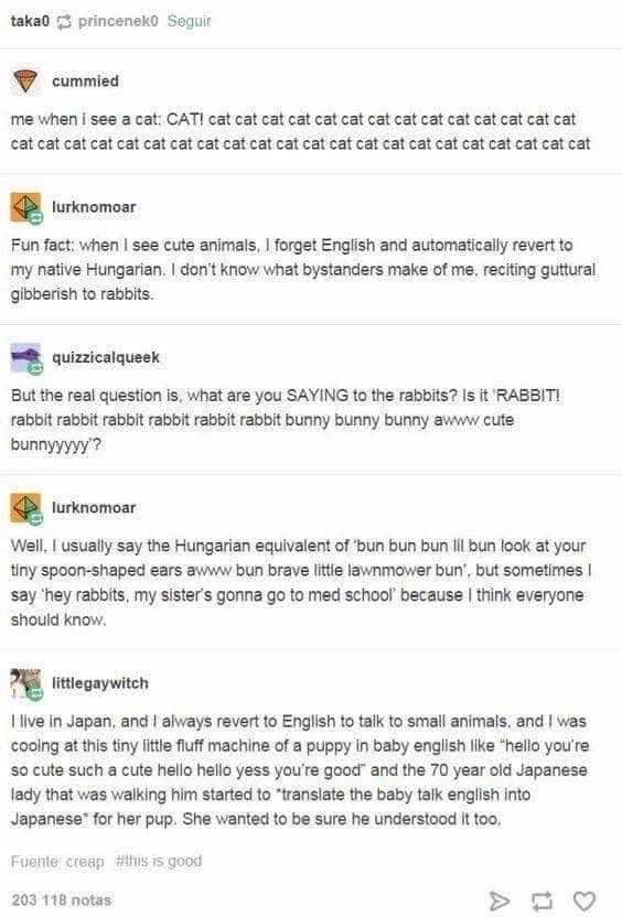 Me when I see a cute animal and all my brain cells decide to evacuate