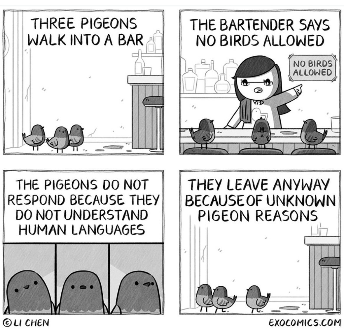 Pigeons are just like us, they ignore you when you tell them to leave unless they want to.
