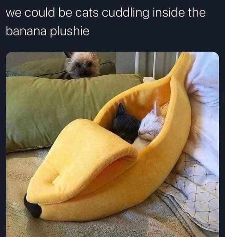 The ideal relationship goals