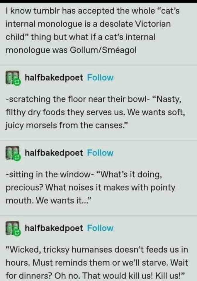 Cat's inner monologue but make it Gollum. So dramatic about dry food.