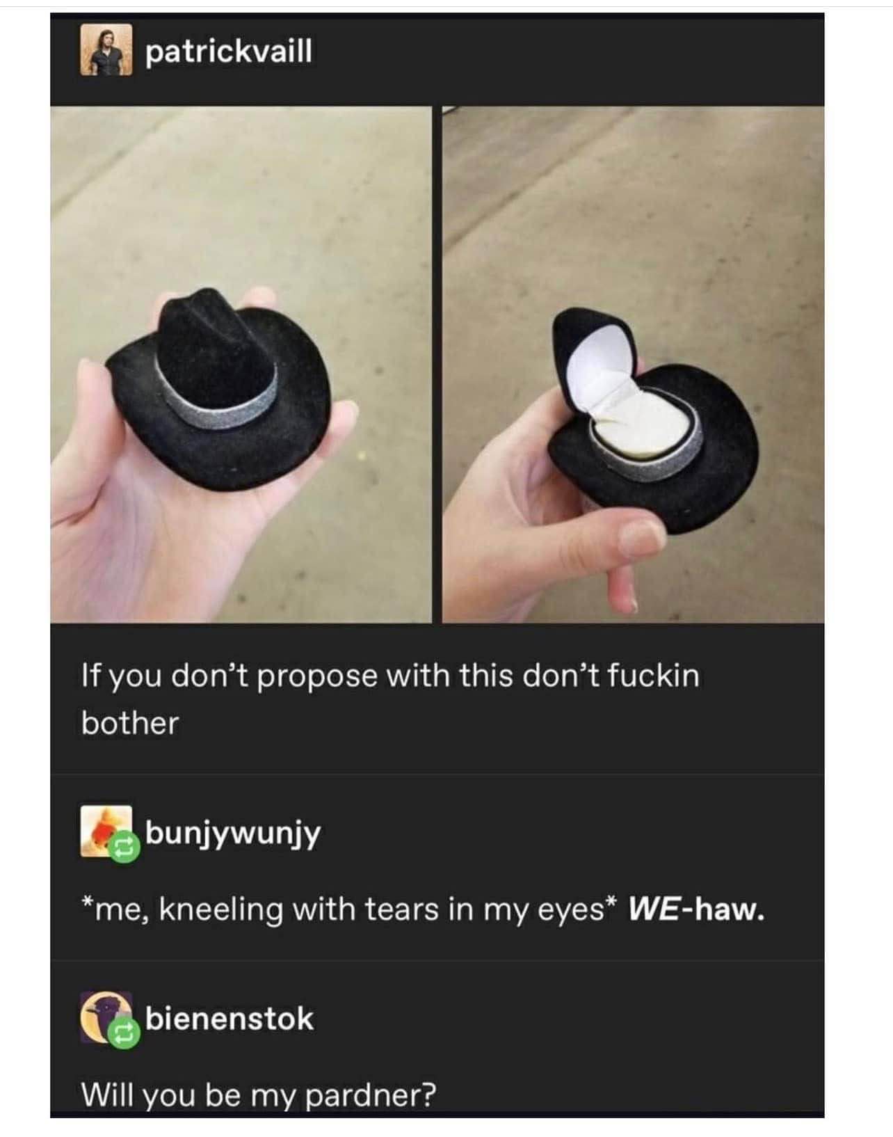 This is literally the only acceptable way to propose, fight me.