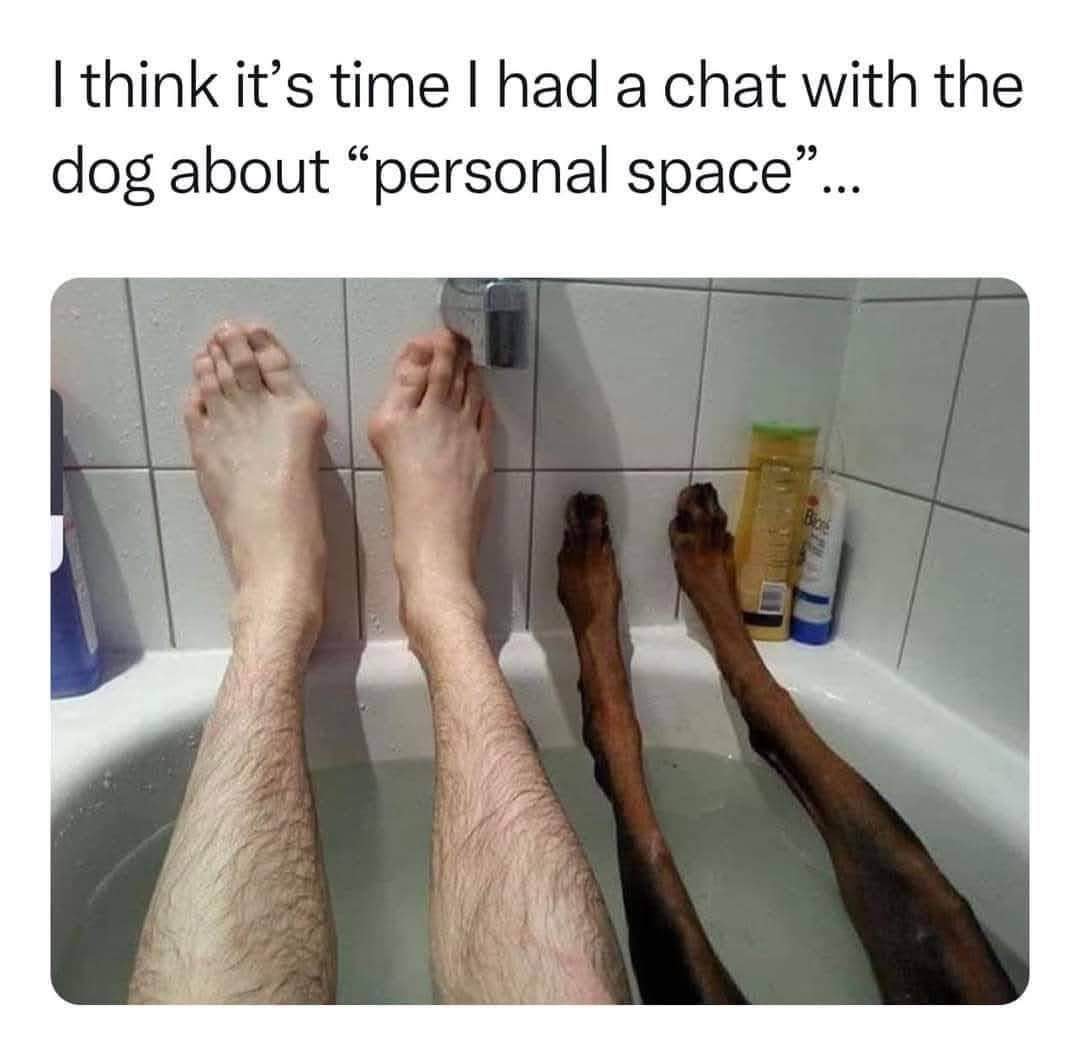 When your dog has zero concept of personal space during bath time