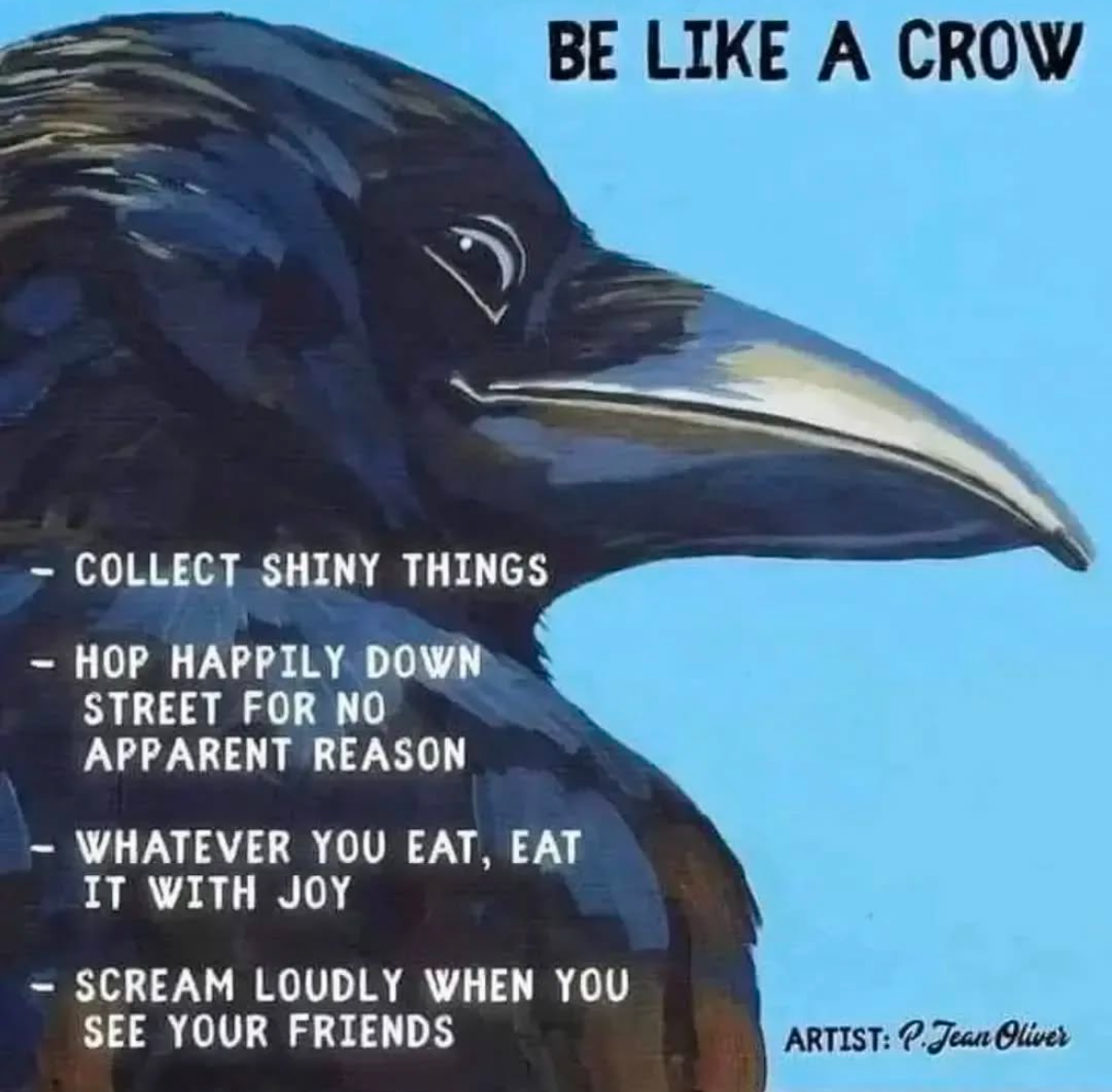 Be like a crow: collect shiny things and scream at your friends. Honestly, goals.